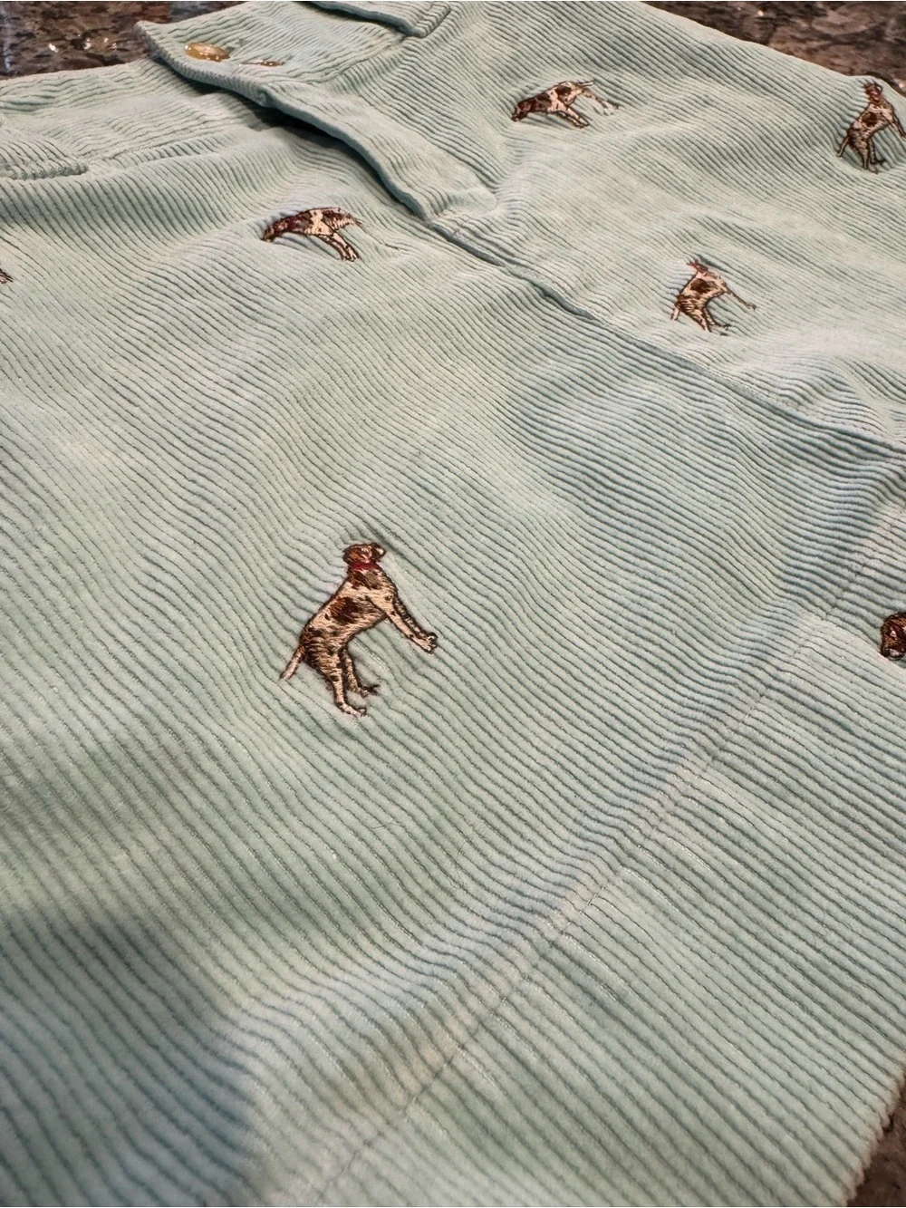 Ralph Lauren Mint Green Corduroy Dog Embroidered Skirt Girls Size 6 Preppy